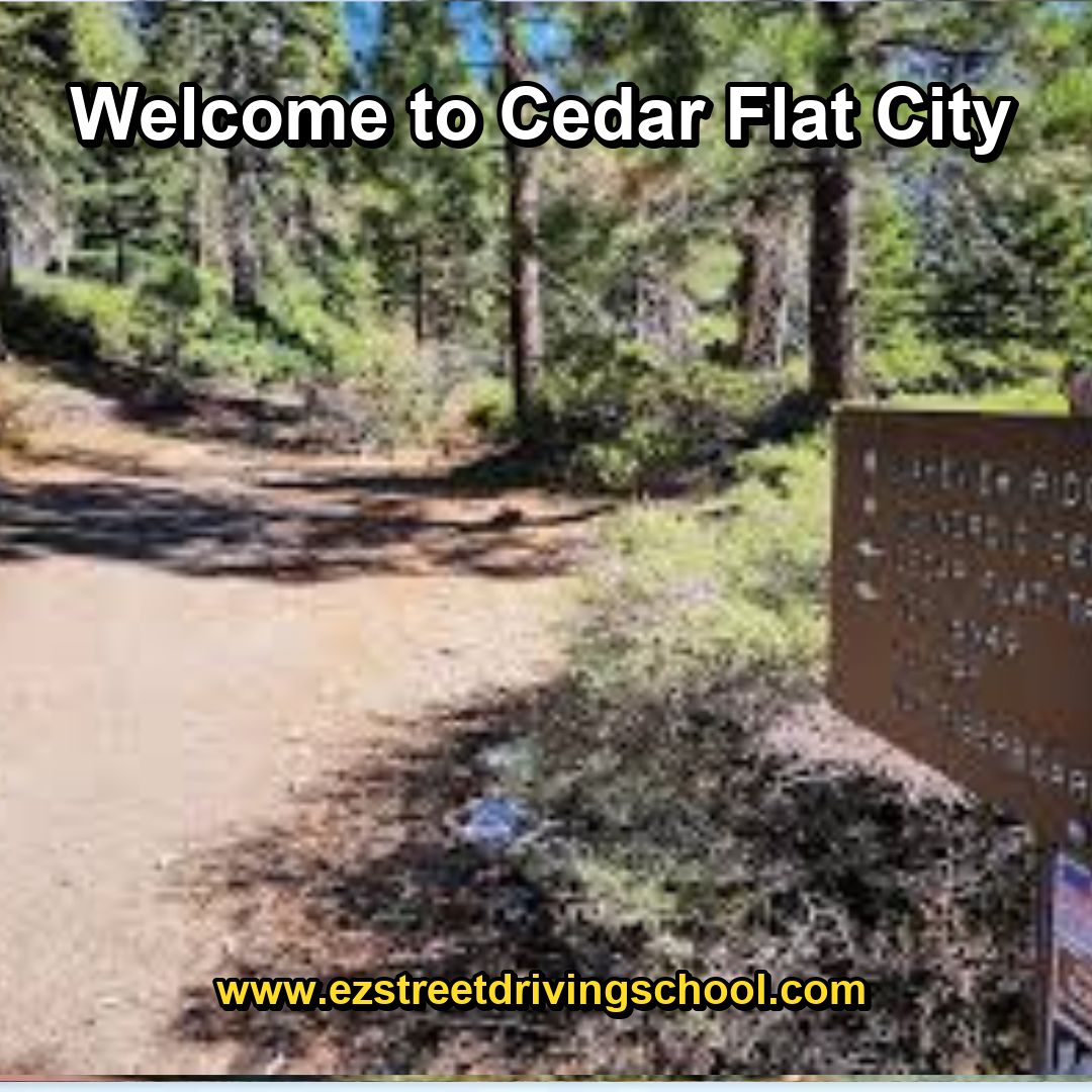 Driving Lessons in Cedar Flat